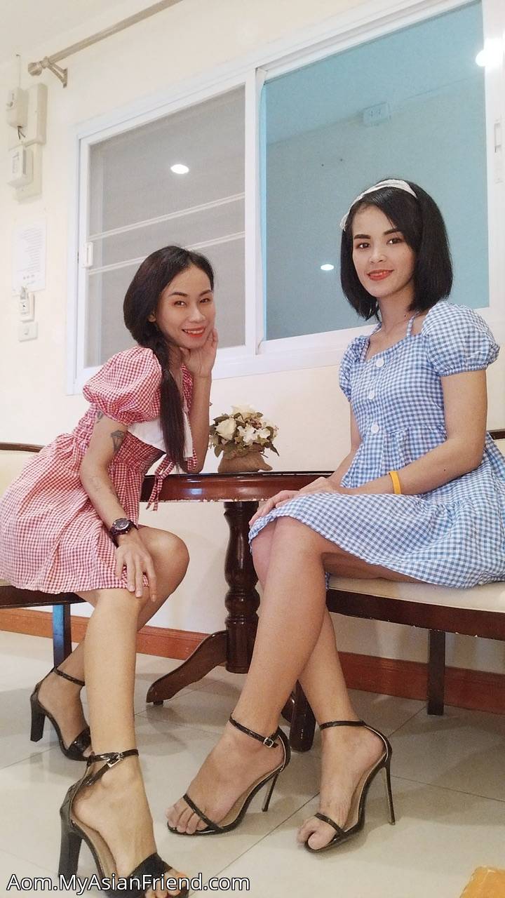 Aom's personal blog photo 1 added Friday the 2nd of December 2022