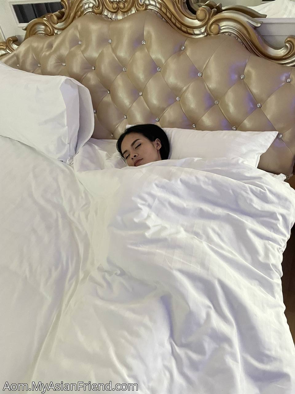 Aom's personal blog photo 1 added Thursday the 6th of July 2023